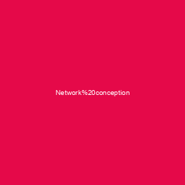 Network conception 